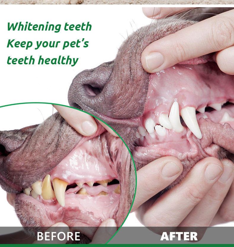 Teeth Cleaning Powder Oral Cleaning Smelly Dog Edible Teeth Cleaning Stone Tooth Cleaning Powder Pets Fashion