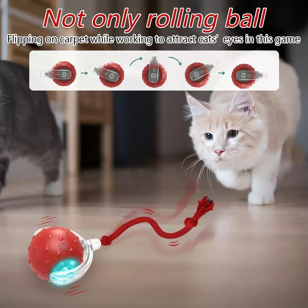 Interactive Cat Toy Ball Super Drive Cat Rolling Balls With Pets Fashion