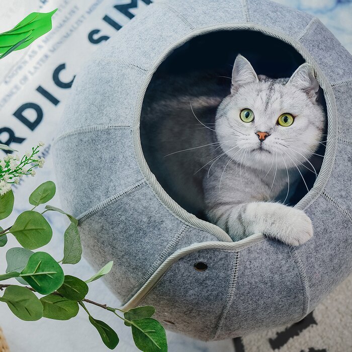 Cat Tunnel Toy Pets Fashion