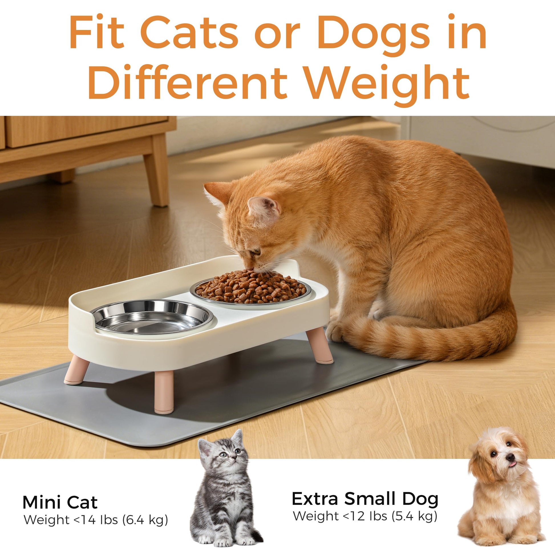 Elevated Cat Bowls Set - Raised Cat Food And Water Bowl Set With Non Slip Stand - Pet Feeding Station With 2 Stainless Steel Bowls Pets Fashion