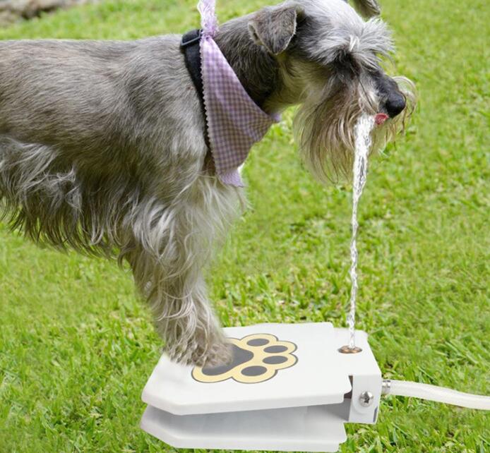 Outdoor Dog Pet Water Fountain Pets Fashion