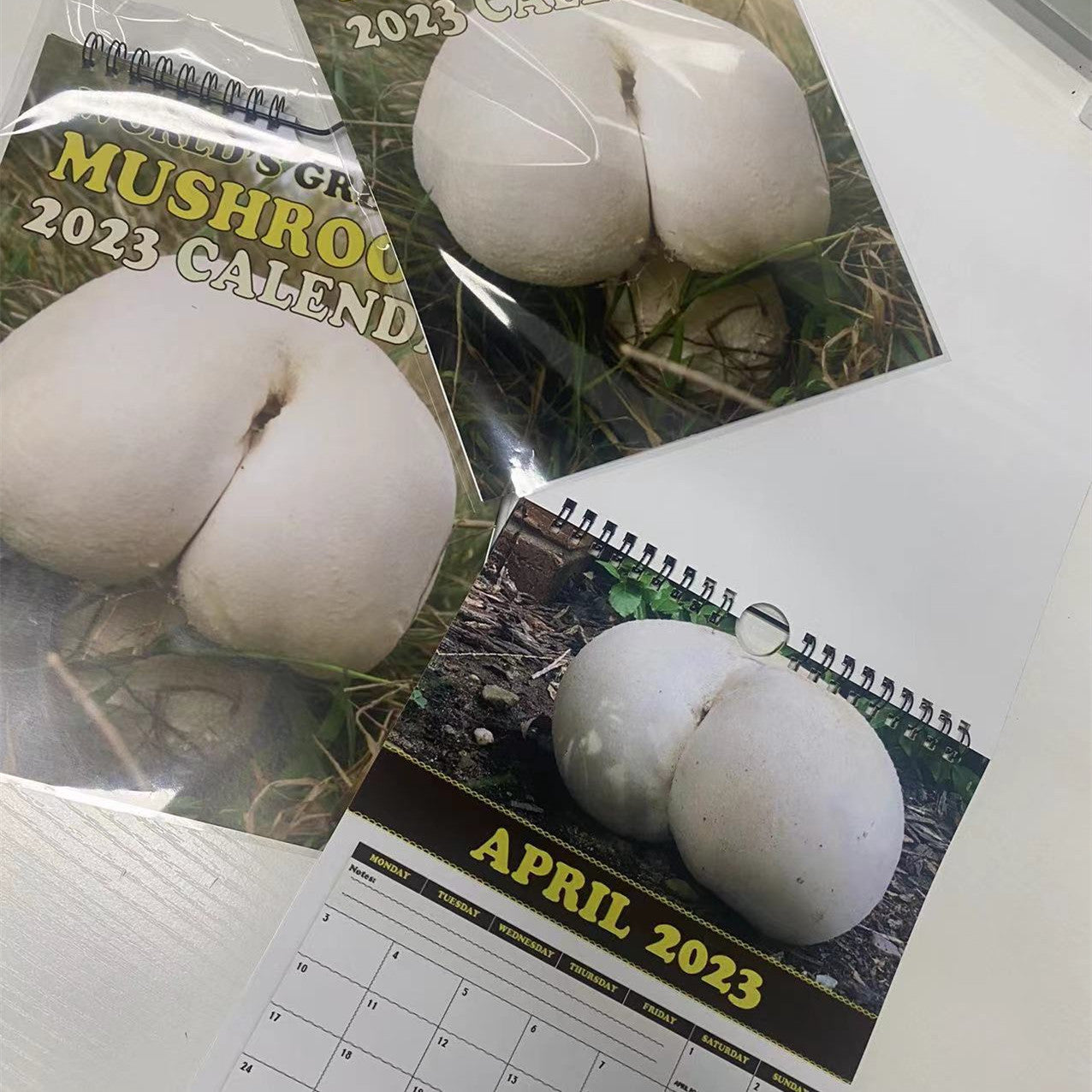 2024 New Cross-border Calendar Great Mushroom Calendar