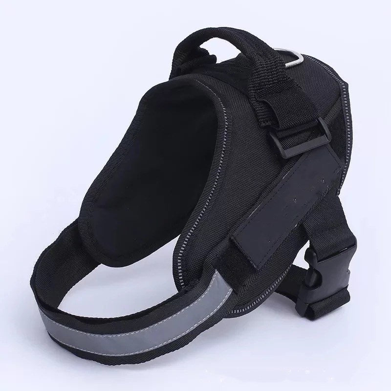 Dog Harness Pets Fashion