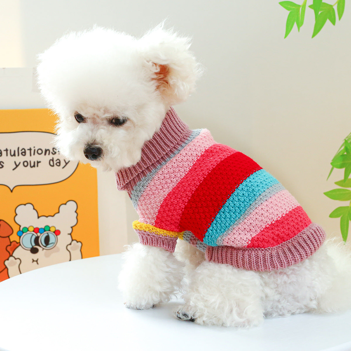 Pet Ring Comfortable Color Stripes Colorful Sweater Pets Fashion