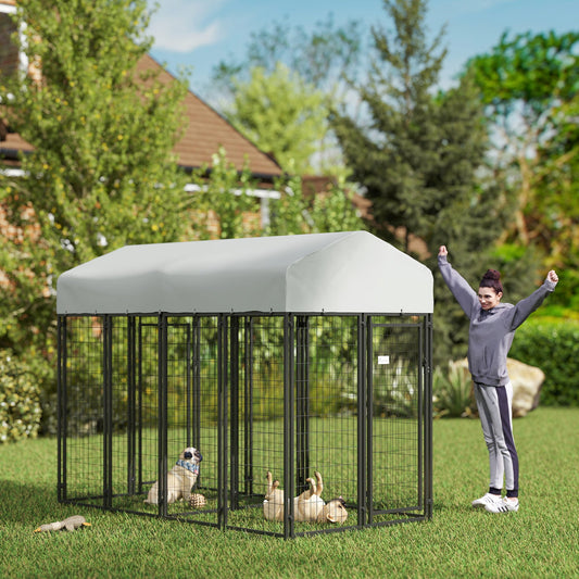 Outdoor Dog Kennel with Two-Room Design Best YouTube Store