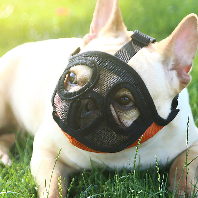 Hoopet Pet Small Dog French Bulldog Muzzle Dog Mouse Basket Breathable Muzzle For Dogs Leash Harness Supplies Pets Fashion