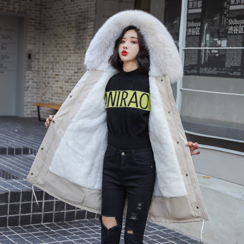 Cotton-Padded Winter Coat Jacket Pi-Mart