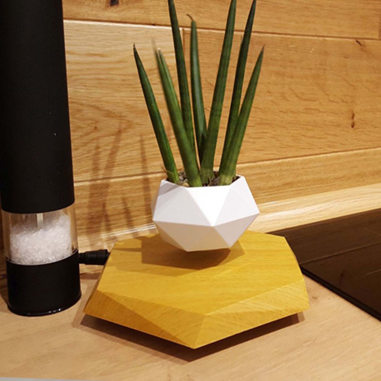 Levitating Magnetic Flower Pot PearlNestDecor.com