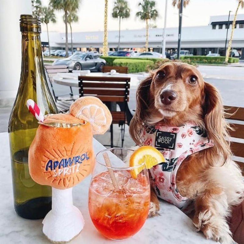 Chew Squeaky Dog Toys Cute Pet Dog Sound Cup Toy Puppy Pet Supplies Interaction Dog Toys Supplies Pets Fashion
