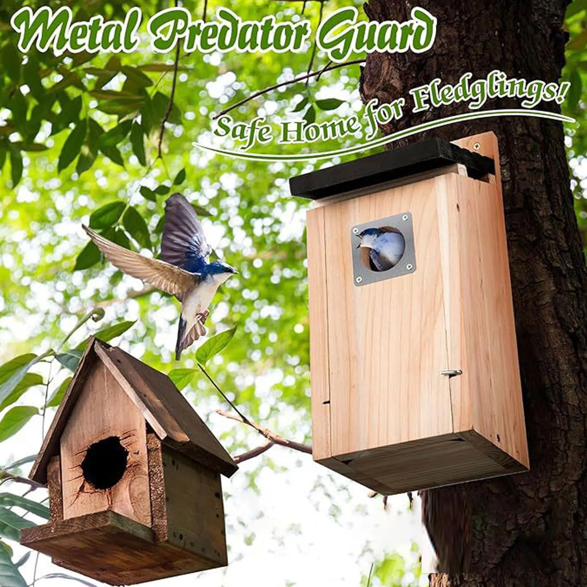 Bird House Wood Hanging Nesting Box Sheltered Warm Place Outside Bluebird Viewing House Feeder for Pet Supplies Patio Small Bird Pi-Mart