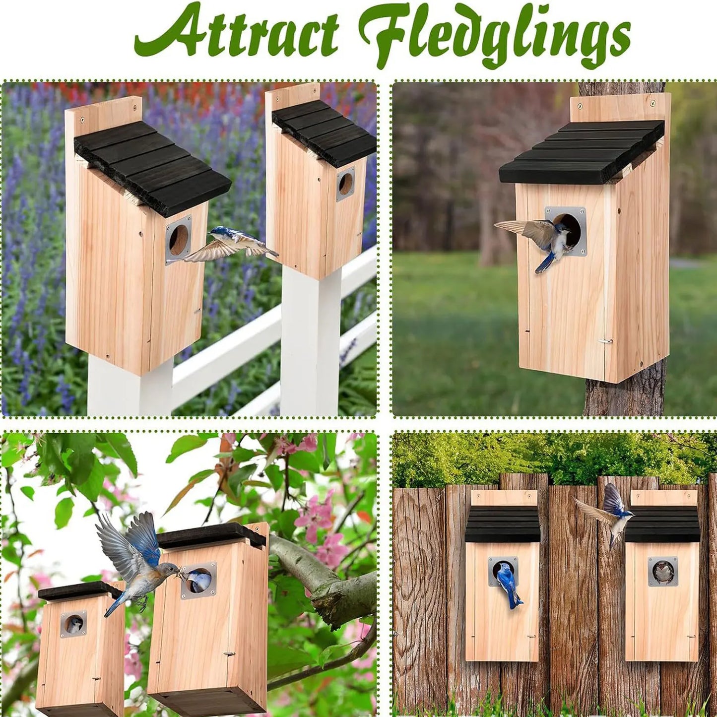 Bird House Wood Hanging Nesting Box Sheltered Warm Place Outside Bluebird Viewing House Feeder for Pet Supplies Patio Small Bird Pi-Mart