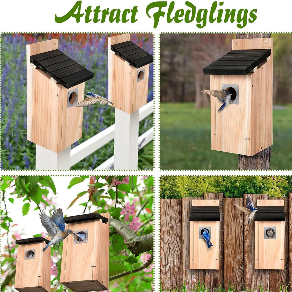 Bird House Wood Hanging Nesting Box Sheltered Warm Place Outside Bluebird Viewing House Feeder for Pet Supplies Patio Small Bird Pi-Mart