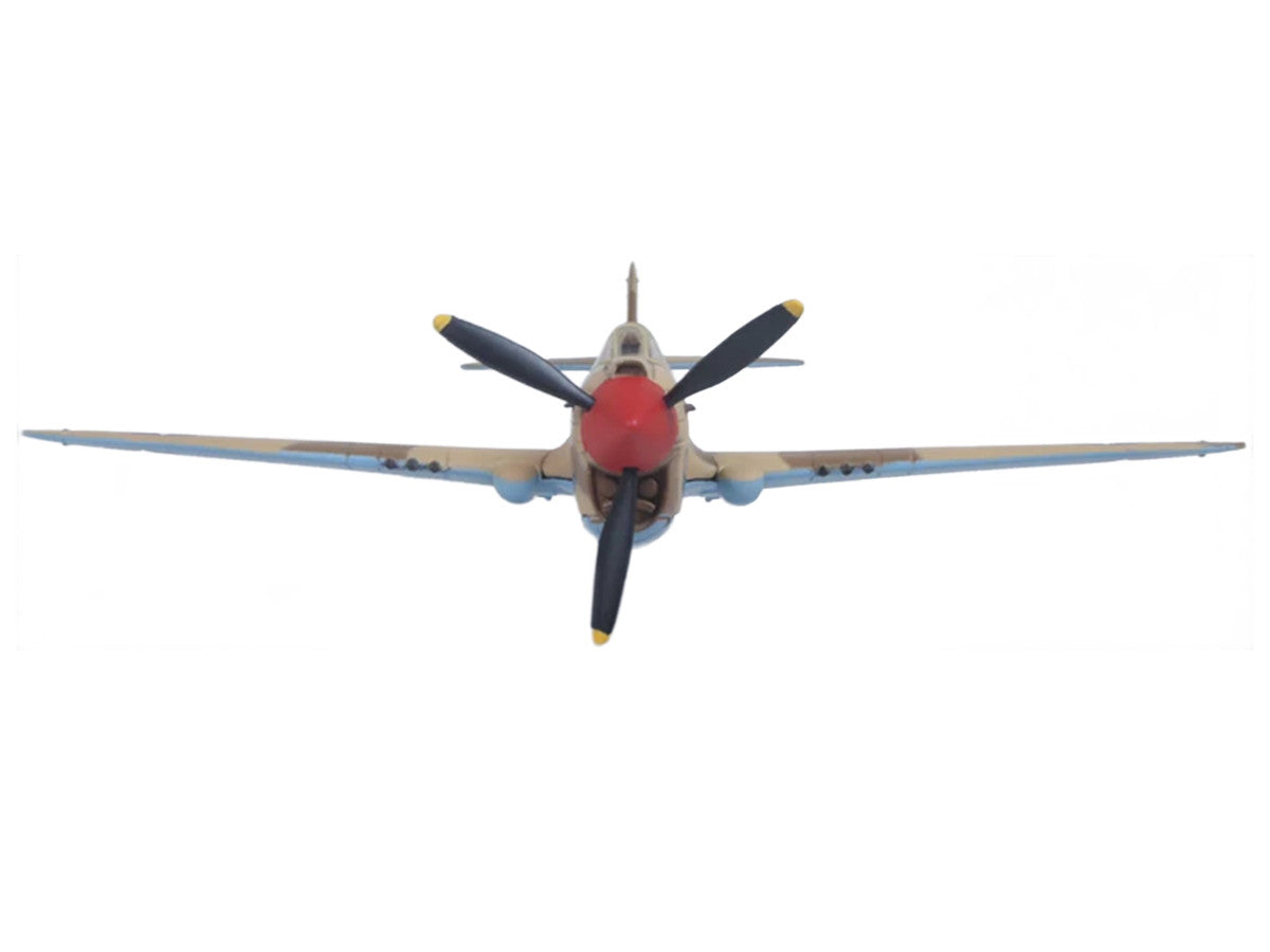 Curtiss Warhawk P-40E Fighter Aircraft "Miss Memphis 85th Fighter Squadron 79th Fighter Group North Africa" (1943) United States Army Air Forces "Oxford Aviation" Series 1/72 Diecast Model Airplane by Oxford Diecast LuxuryLifeWay Online Store