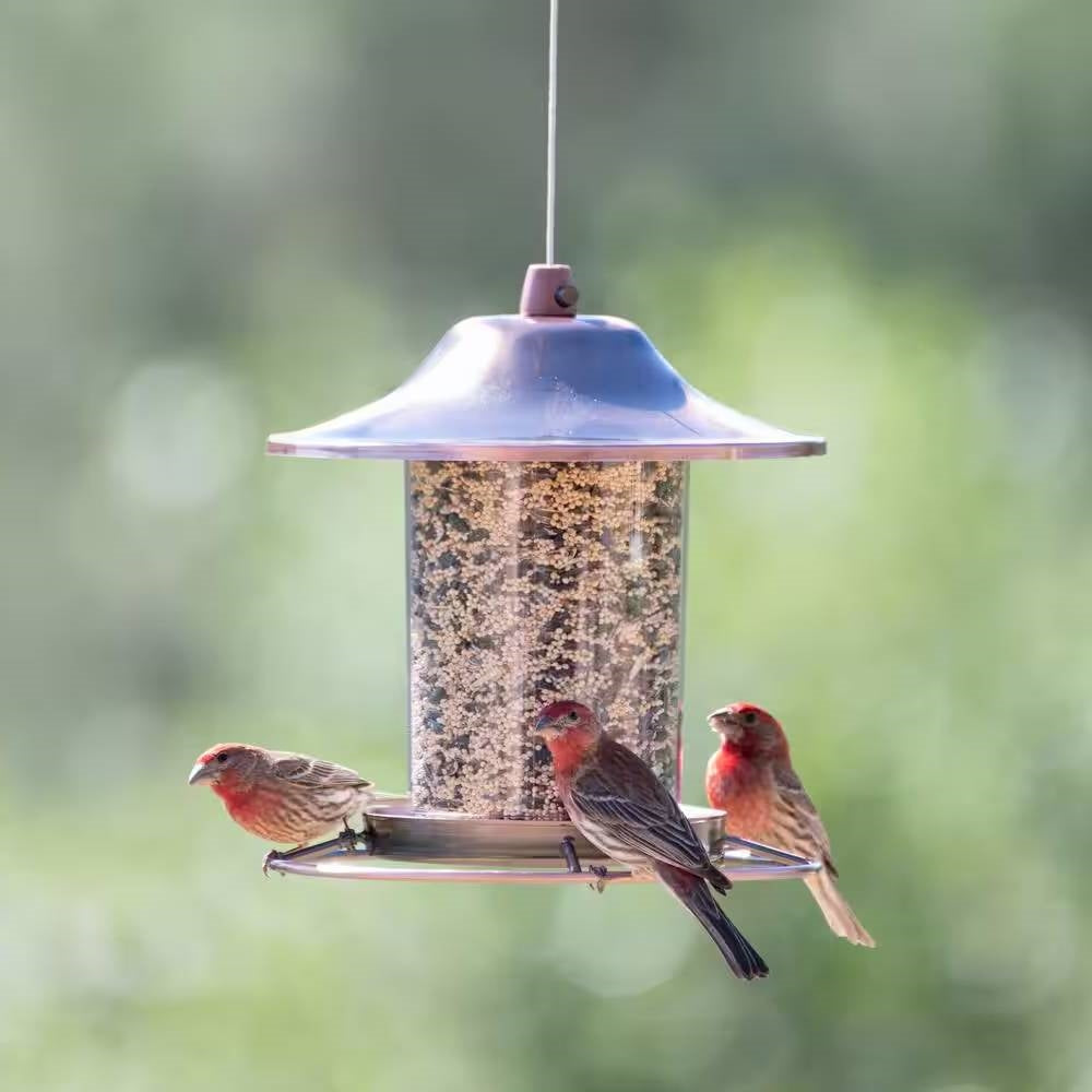 Copper Bird Feeder with Plastic Seed Reservoir Tube and Circular Perch LuxuryLifeWay Online Store