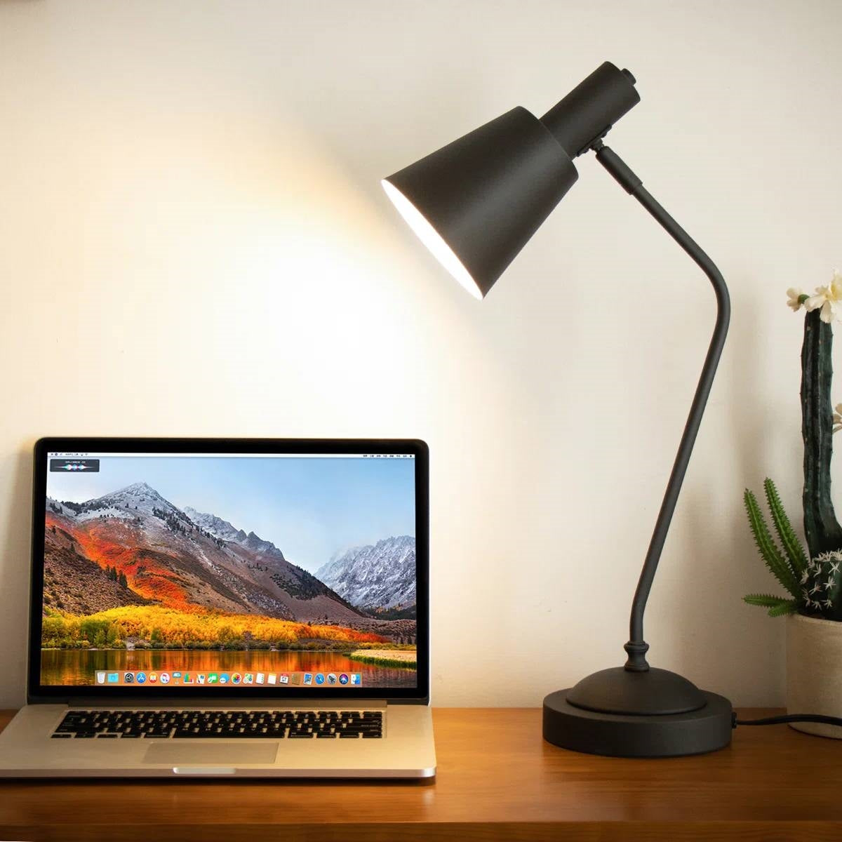 Black Gooseneck Dimmable Table Lamp Desk Light with Touch Control and USB LuxuryLifeWay Online Store