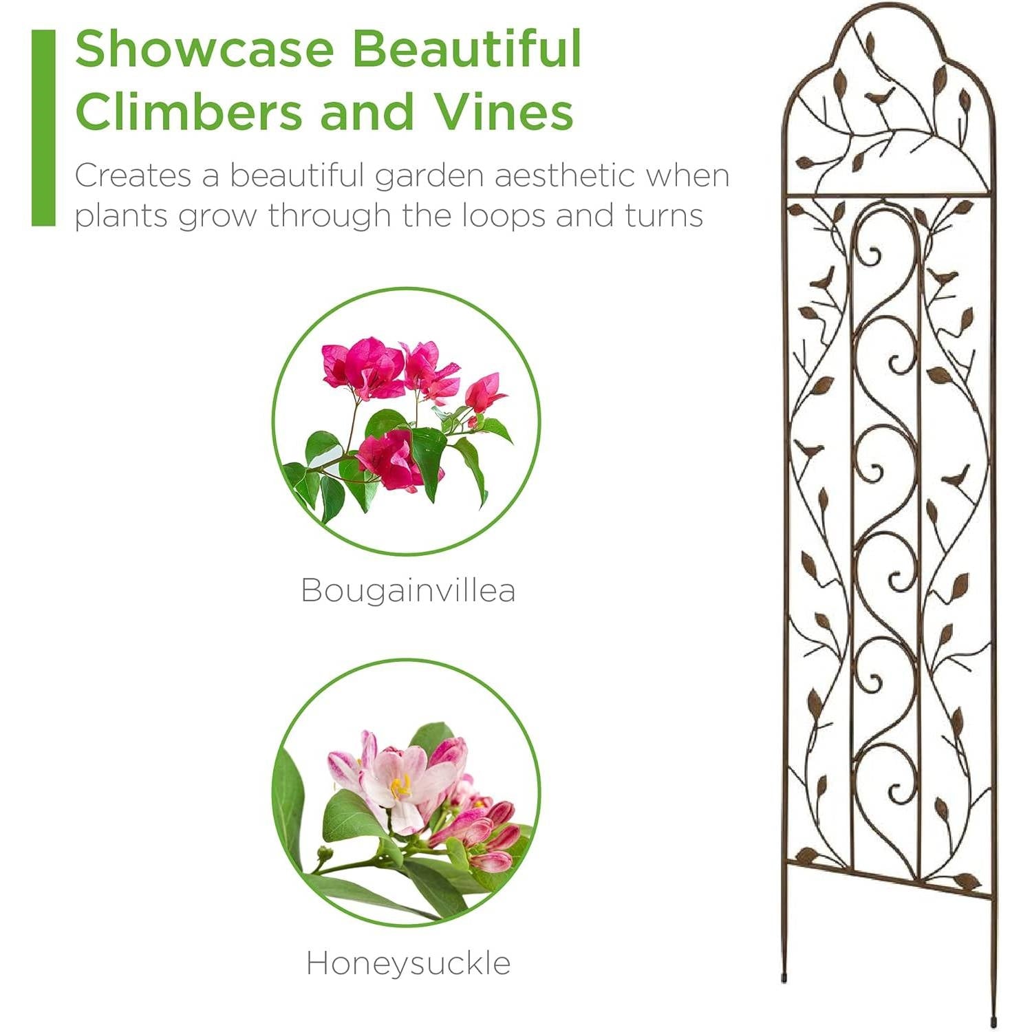 60-inch Tall Outdoor Iron Garden Trellis in Bronze Metal Finish LuxuryLifeWay Online Store
