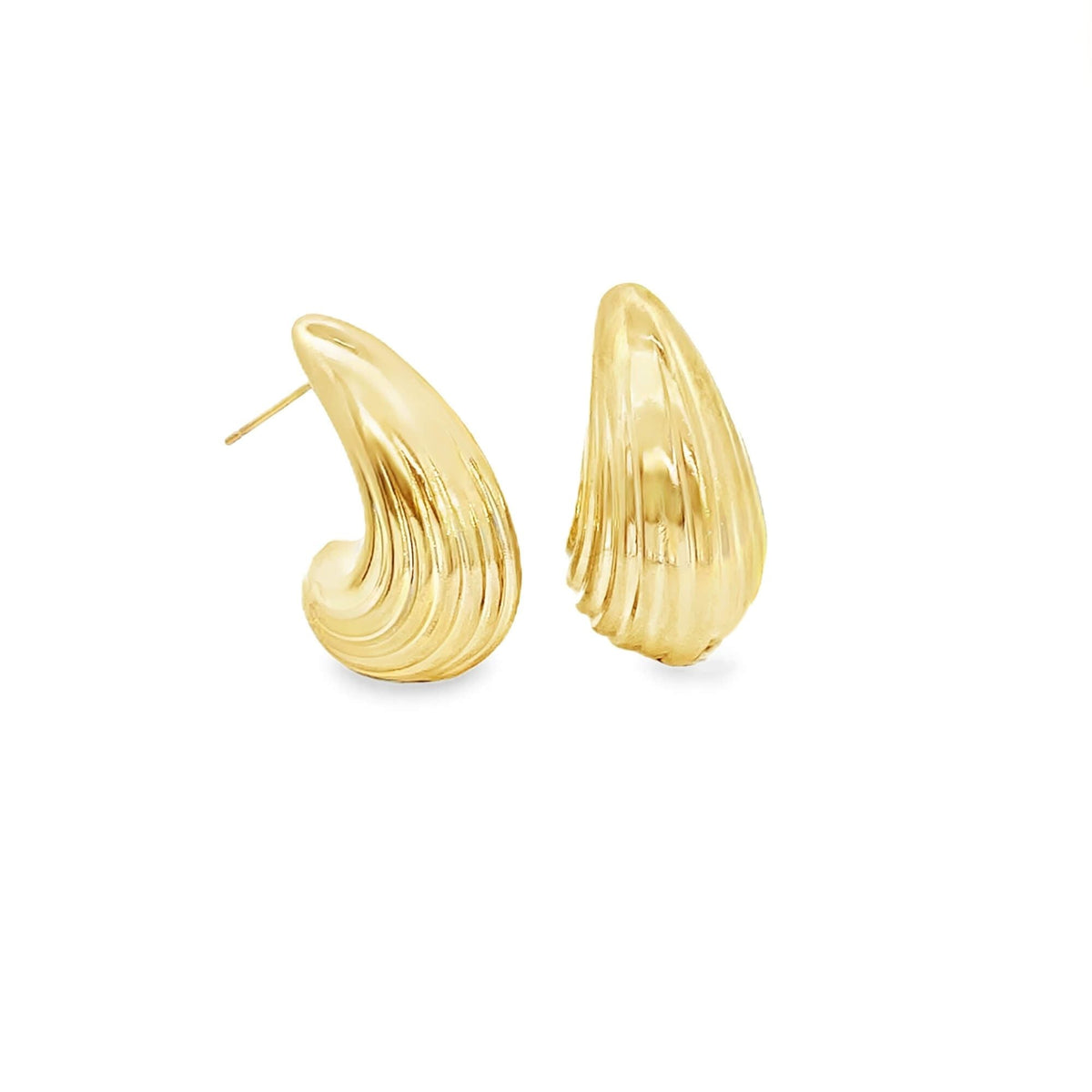 Shell Textured Teardrop Earrings (L497) LuxuryLifeWay Online Store