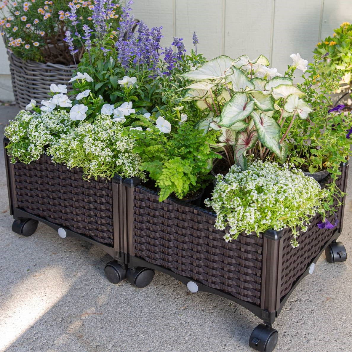Modern 2-Piece Indoor Outdoor Raised Garden Planter Box on Wheels in PP Rattan LuxuryLifeWay Online Store