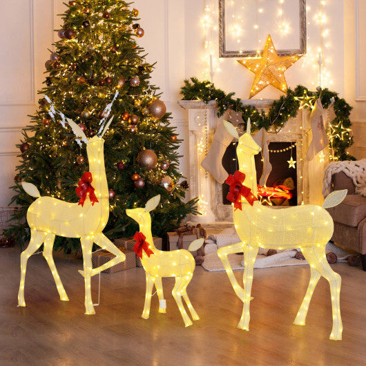 3 Pieces Lighted Family Deer Set with LED Lights and RGB Flashing Lights