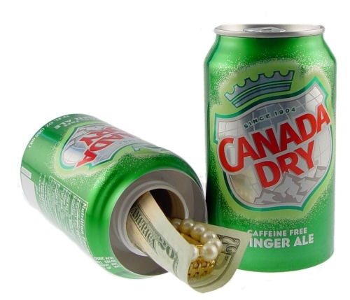 Ginger Ale Can Safe LuxuryLifeWay Online Store