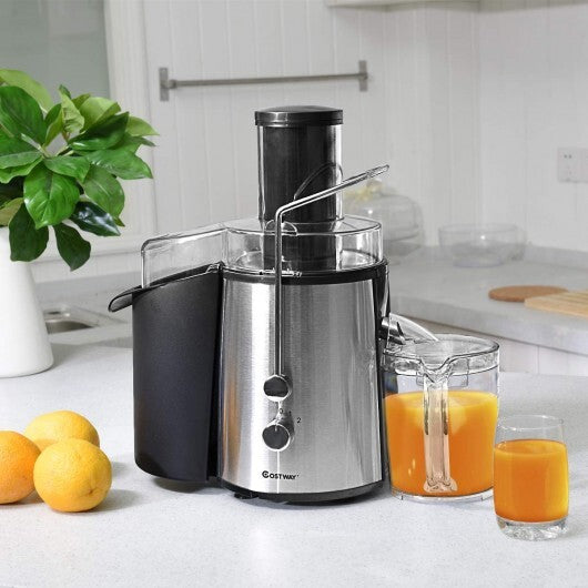 2 Speed Electric Juice Press for Fruit and Vegetable - Color: Silver LuxuryLifeWay Online Store