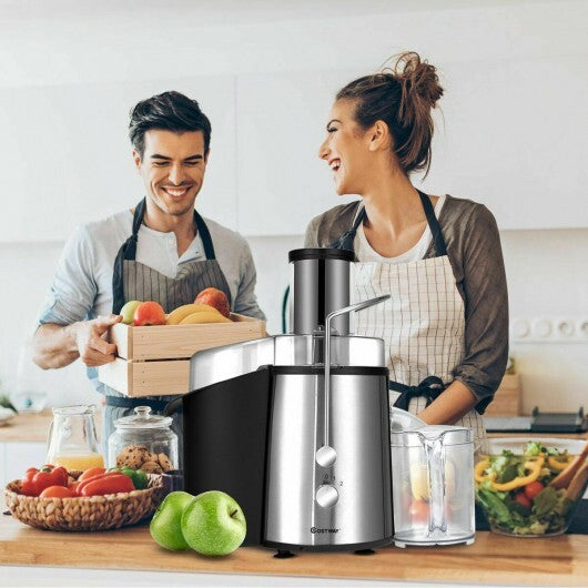 2 Speed Electric Juice Press for Fruit and Vegetable - Color: Silver LuxuryLifeWay Online Store