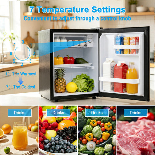 Compact Mini Fridge with 7-Level Adjustable Thermostat-Silver LuxuryLifeWay Online Store