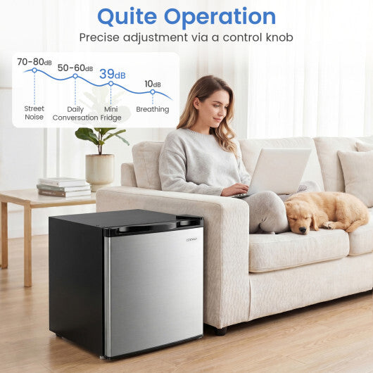 Compact Mini Fridge with 7-Level Adjustable Thermostat-Silver LuxuryLifeWay Online Store