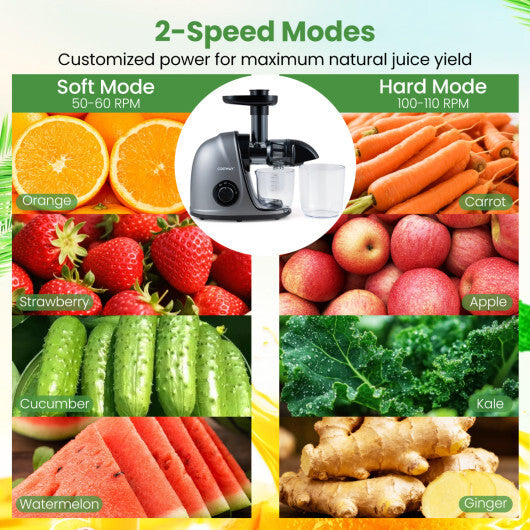 Cold Press Juicer Machine with 95% High Yield and 2-Speed Modes-Sliver LuxuryLifeWay Online Store