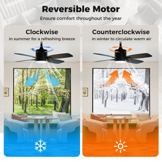 42inch Ceiling Fan with Light and Remote 3CCT LED with Memory 4H Timer 6 Speeds-Black LuxuryLifeWay Online Store