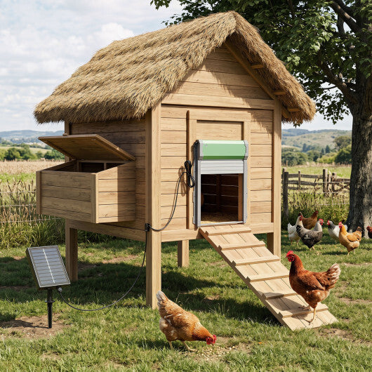 Automatic Chicken Coop Door with Remote Control and Light Sensor Timer LuxuryLifeWay Online Store
