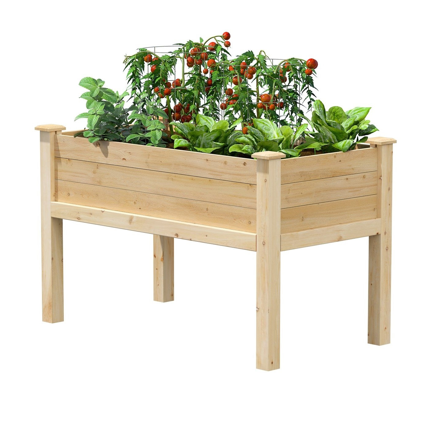 Farmhouse 24-in x 48-in x 31-in Cedar Elevated Victory Garden Bed - Made in USA LuxuryLifeWay Online Store