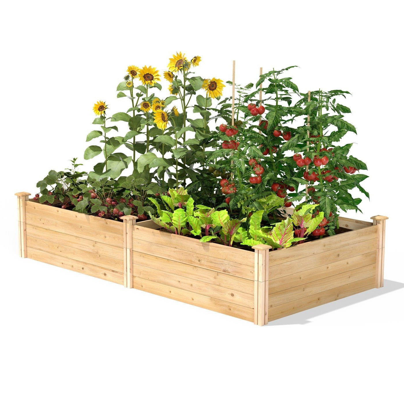 17-inch High Cedar Wood Raised Garden Bed 4 ft x 8 ft - Made in USA LuxuryLifeWay Online Store