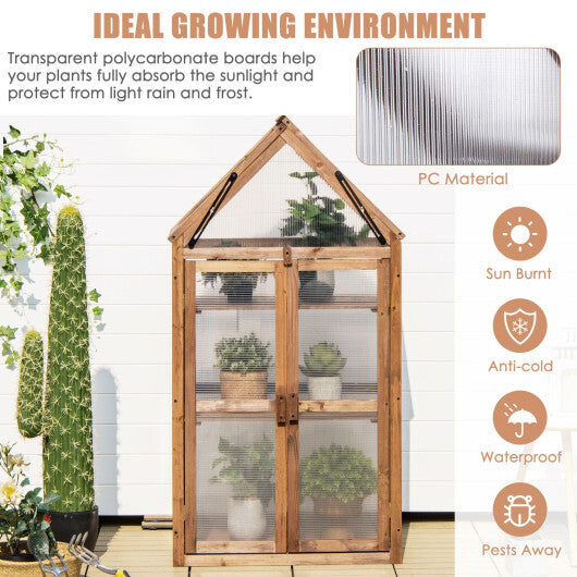 Cold Frame Mini Wooden Greenhouse for Vegetable and Flower-Brown LuxuryLifeWay Online Store