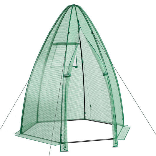 5.5 x 5.5 x 6 Feet Portable Mini Greenhouse with All-Weather PE Cover LuxuryLifeWay Online Store