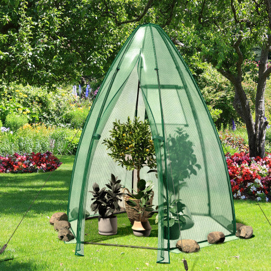 5.5 x 5.5 x 6 Feet Portable Mini Greenhouse with All-Weather PE Cover LuxuryLifeWay Online Store