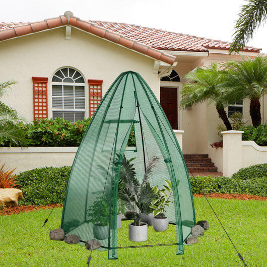5.5 x 5.5 x 6 Feet Portable Mini Greenhouse with All-Weather PE Cover LuxuryLifeWay Online Store