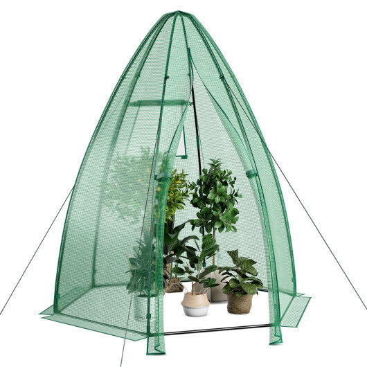 5.5 x 5.5 x 6 Feet Portable Mini Greenhouse with All-Weather PE Cover LuxuryLifeWay Online Store