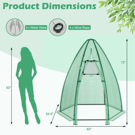 5.5 x 5.5 x 6 Feet Portable Mini Greenhouse with All-Weather PE Cover LuxuryLifeWay Online Store