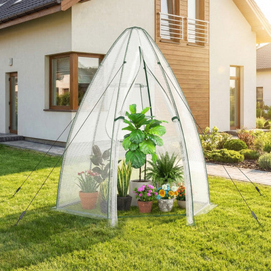 5.5 x 5.5 x 6 Feet Portable Mini Greenhouse with All-Weather PE Cover LuxuryLifeWay Online Store