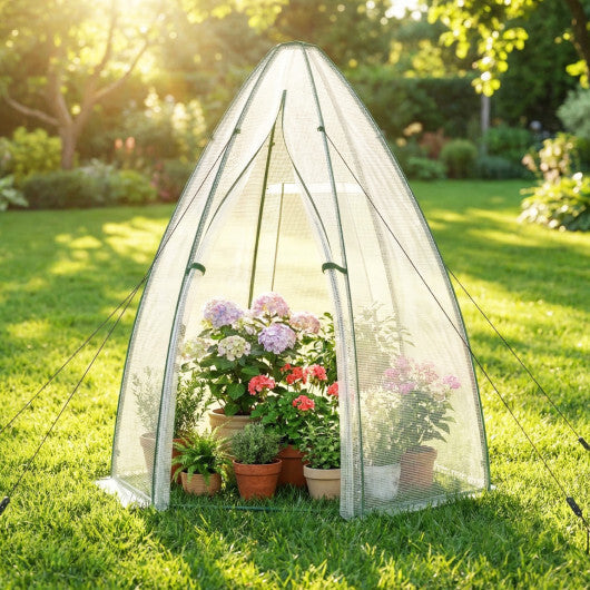 5.5 x 5.5 x 6 Feet Portable Mini Greenhouse with All-Weather PE Cover LuxuryLifeWay Online Store