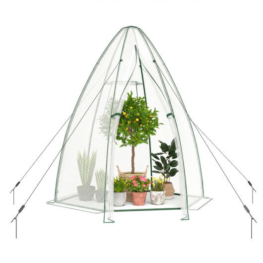 5.5 x 5.5 x 6 Feet Portable Mini Greenhouse with All-Weather PE Cover LuxuryLifeWay Online Store
