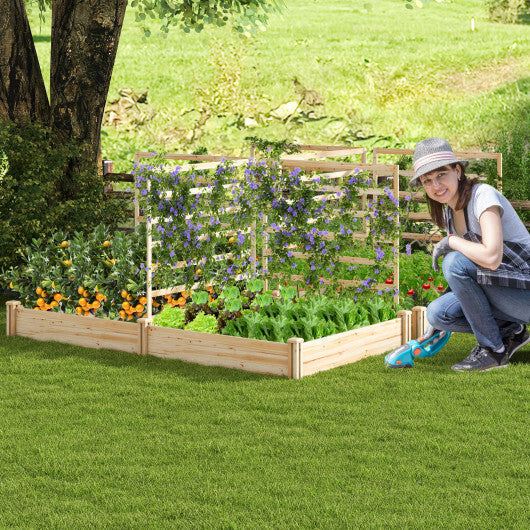 Raised Garden Bed with 2 Planter Boxes and 3 Trellis-Natural LuxuryLifeWay Online Store