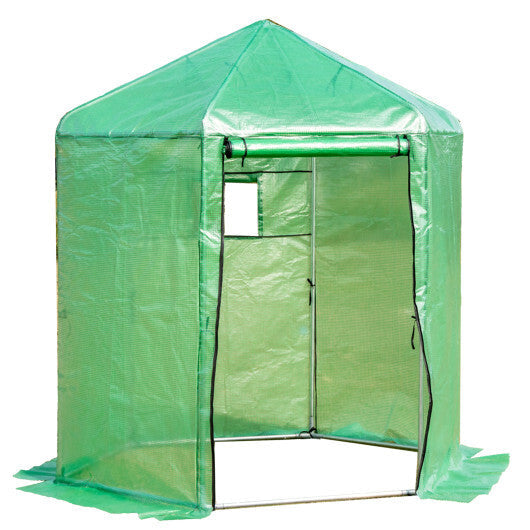Walk-In Hexagonal Greenhouse with PE Cover and Metal Frame LuxuryLifeWay Online Store