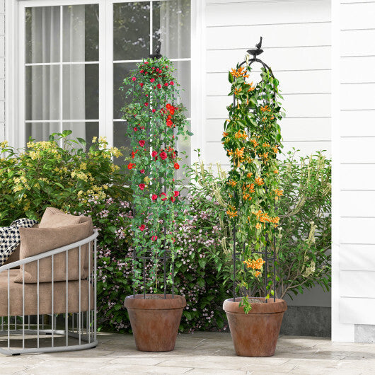 2-Pack Garden Obelisk Trellis for Climbing Plants-Black LuxuryLifeWay Online Store