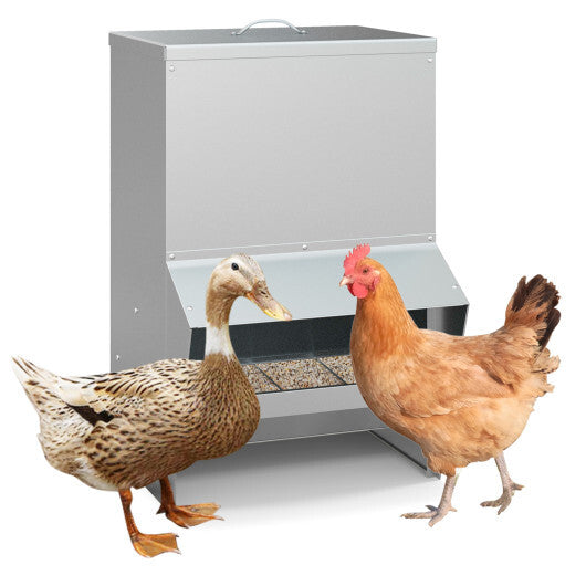 Galvanized Metal Poultry Feeder - Deal for Only $64! LuxuryLifeWay Online Store