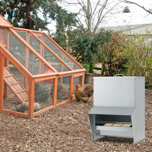 Galvanized Metal Poultry Feeder - Deal for Only $64! LuxuryLifeWay Online Store
