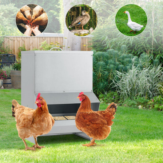 Galvanized Metal Poultry Feeder - Deal for Only $64! LuxuryLifeWay Online Store