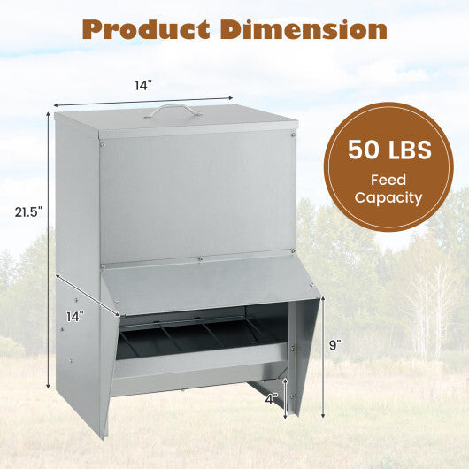 Galvanized Metal Poultry Feeder - Deal for Only $64! LuxuryLifeWay Online Store