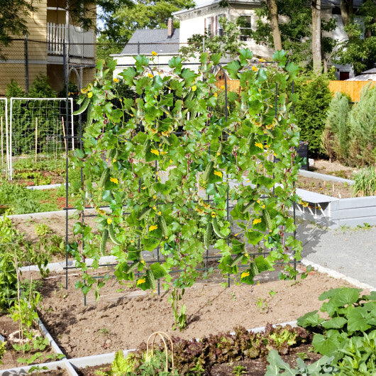 71 x 71 Inch U-Shaped Tall Garden Arched Trellis for Climbing Plants LuxuryLifeWay Online Store